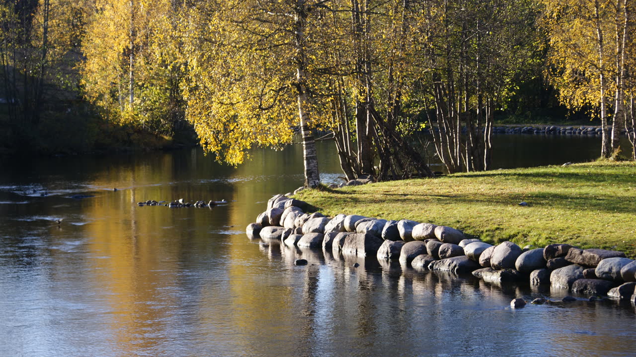 Akerselva som svinger gjennom grønt landskap ved Kjelsås i Nordre Aker, Oslo