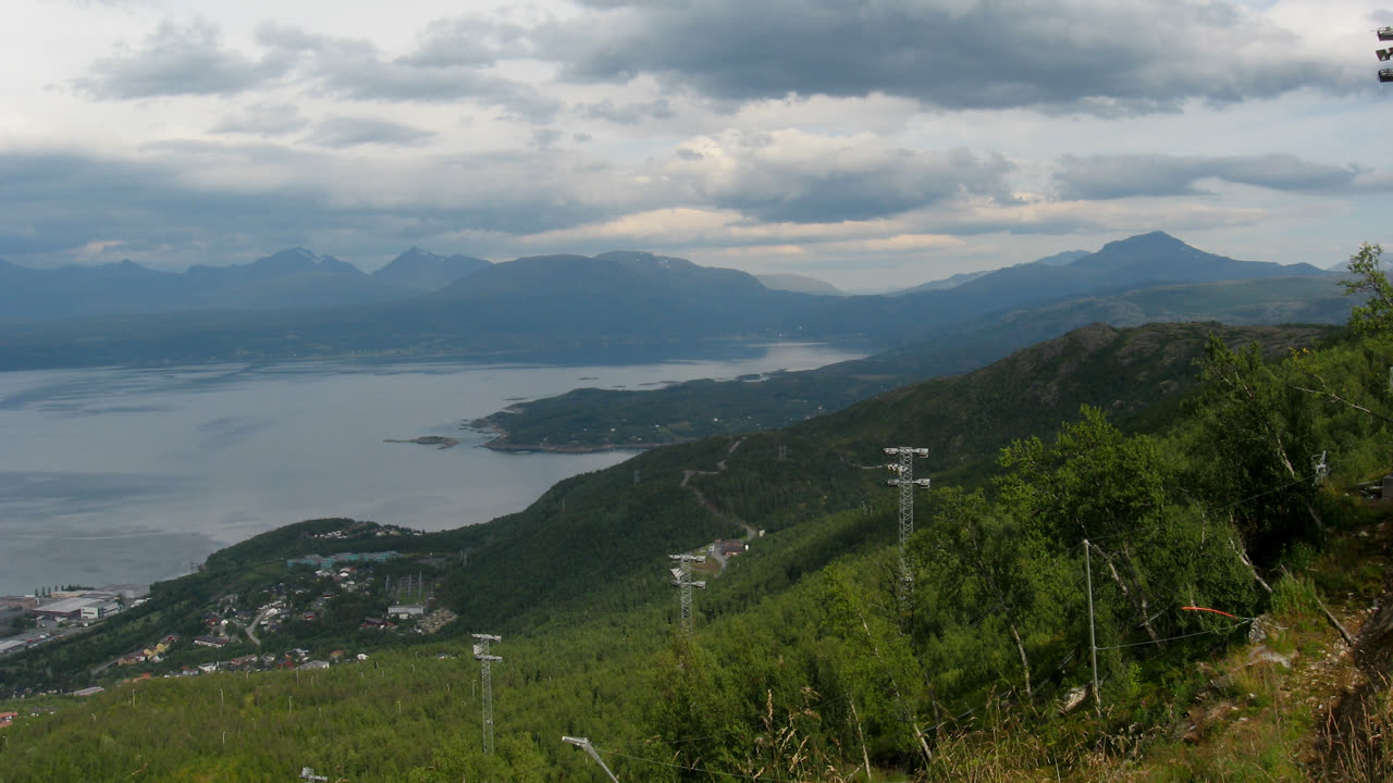 Utsikt over Narvik og Ofotfjorden fra fjellsiden en sommerdag, med grønn bjørkeskog i forgrunnen og fjell i bakgrunnen