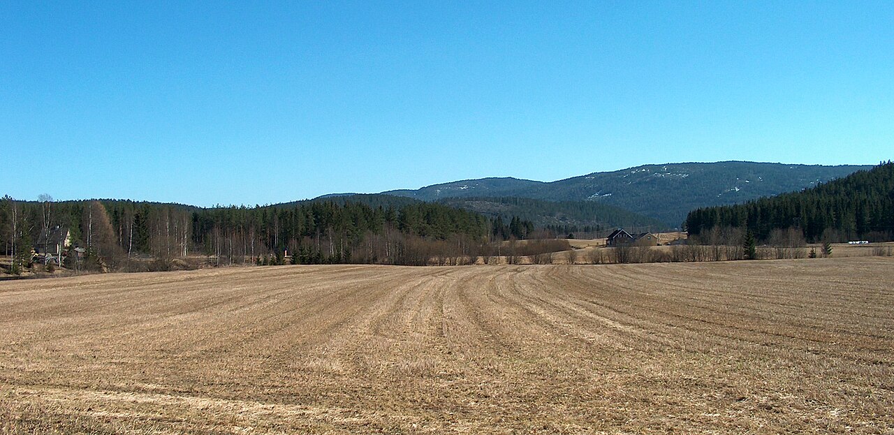 Jordbrukslandskap i Soknedalen med åkre i forgrunnen, blandingsskog og åsen Skarperudåsen i bakgrunnen under klar blå himmel