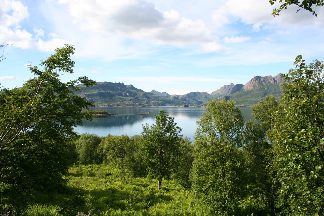 Fjordlandskap i Vesterålen, regionen der Huinndagan arrangeres