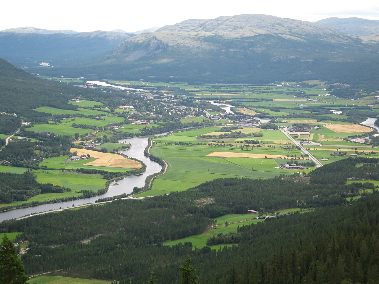 Glomma renner gjennom Alvdal i Nord-Østerdalen med skogkledde åser i bakgrunnen