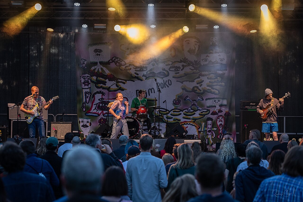 Konsert på Malstrømfestivalen på Petersøya i Hønefoss, med publikum foran scenen