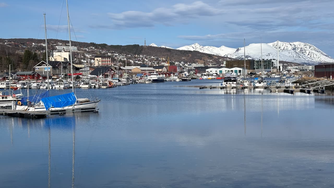 Harstad havn og marina ved Vågsfjorden med snødekte fjell i bakgrunnen