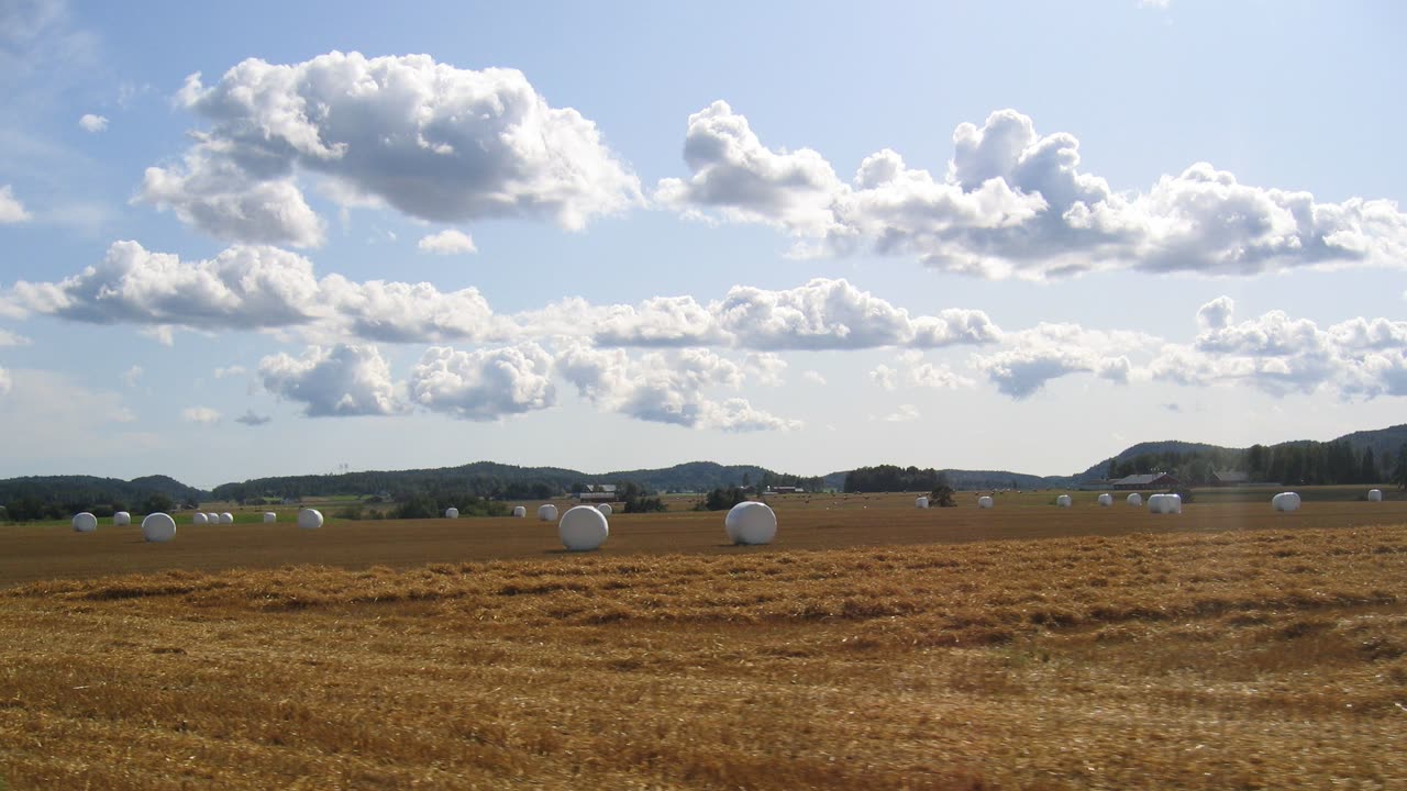 Jordbrukslandskap med rundballer i Ramnes i Vestfold, området der RockStream Festival arrangeres