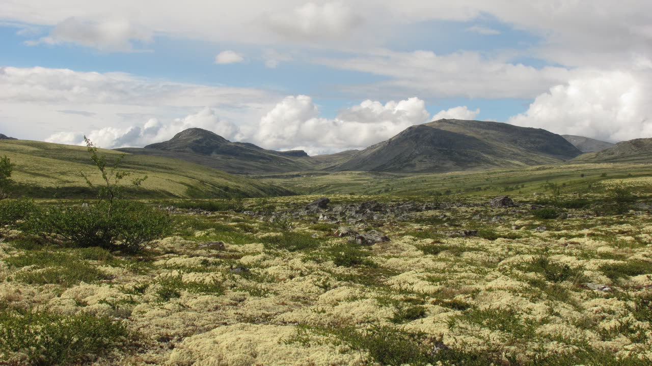 Grønne lyng- og lavkledde fjellvidder med avrundede topper i Rondane en sommerdag, nær Gålå