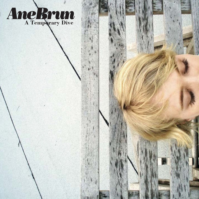 A Temporary Dive (2005) cover