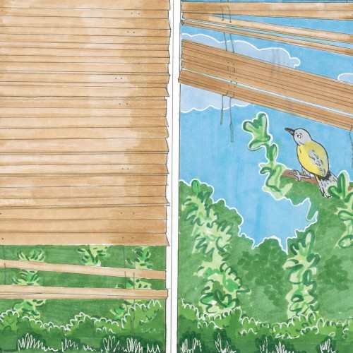 Bird Sing (2022) cover