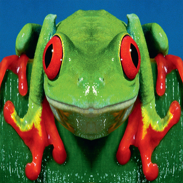Totem (1998) cover