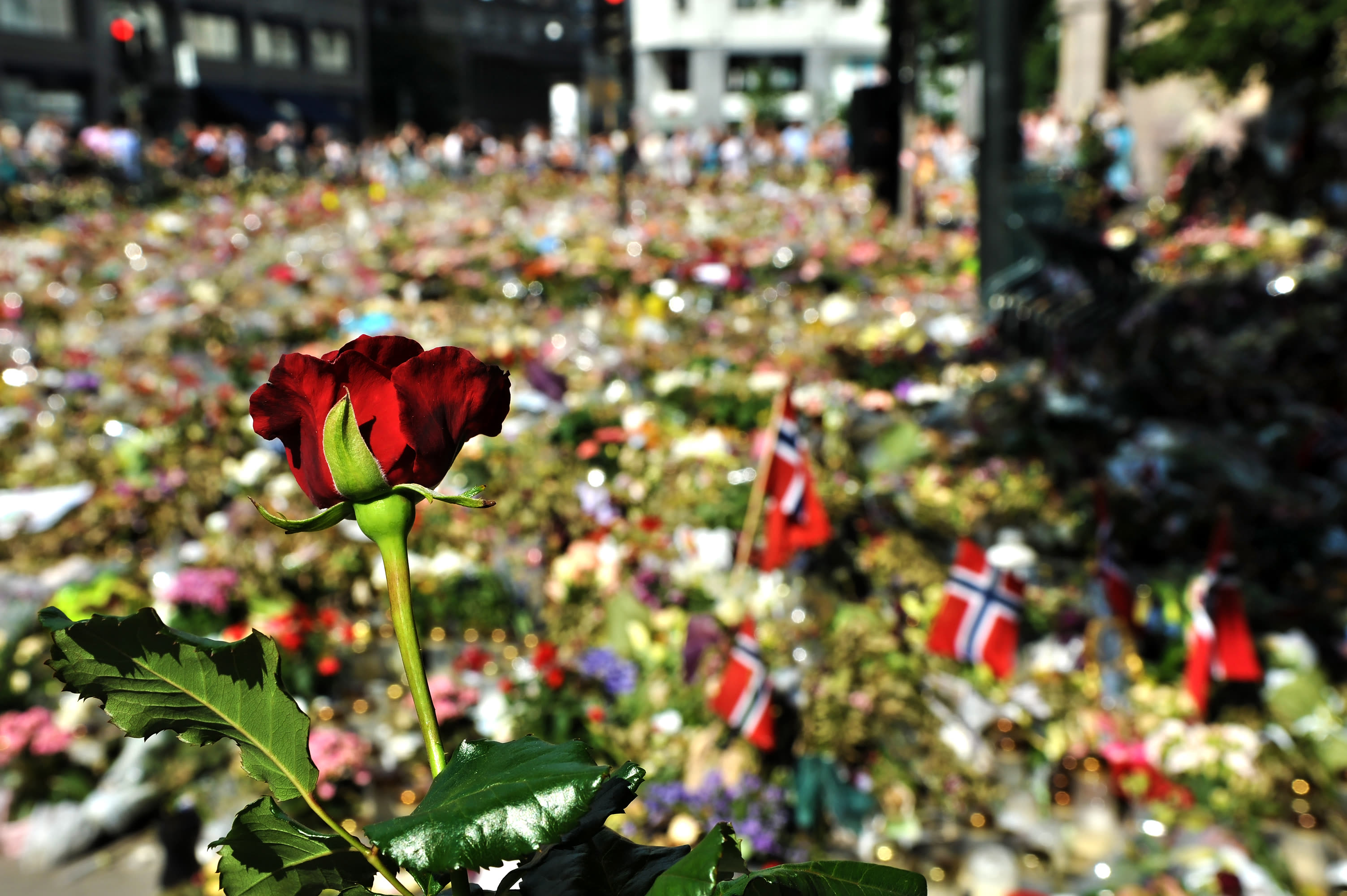 Blomsterhav utenfor Oslo Domkirke 22. juli 2011
