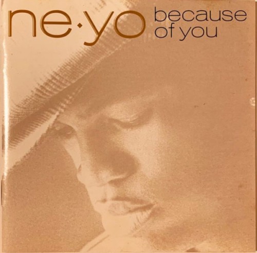 Because of You (2007) cover