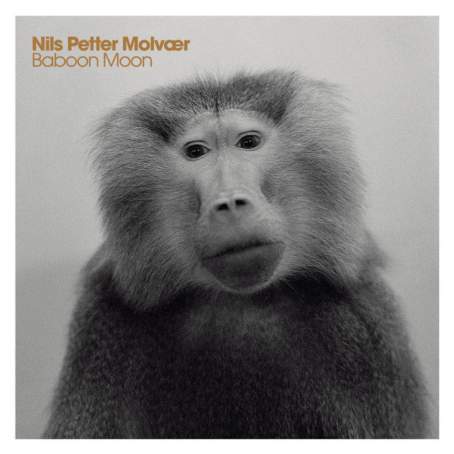 Baboon Moon (2011) cover
