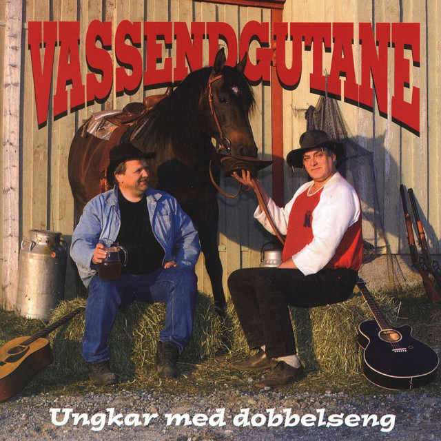 Ungkar med dobbelseng (2005) cover