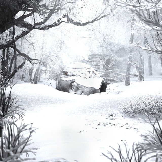 SZNZ: Winter (2022) cover